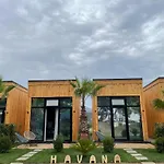 House Havana