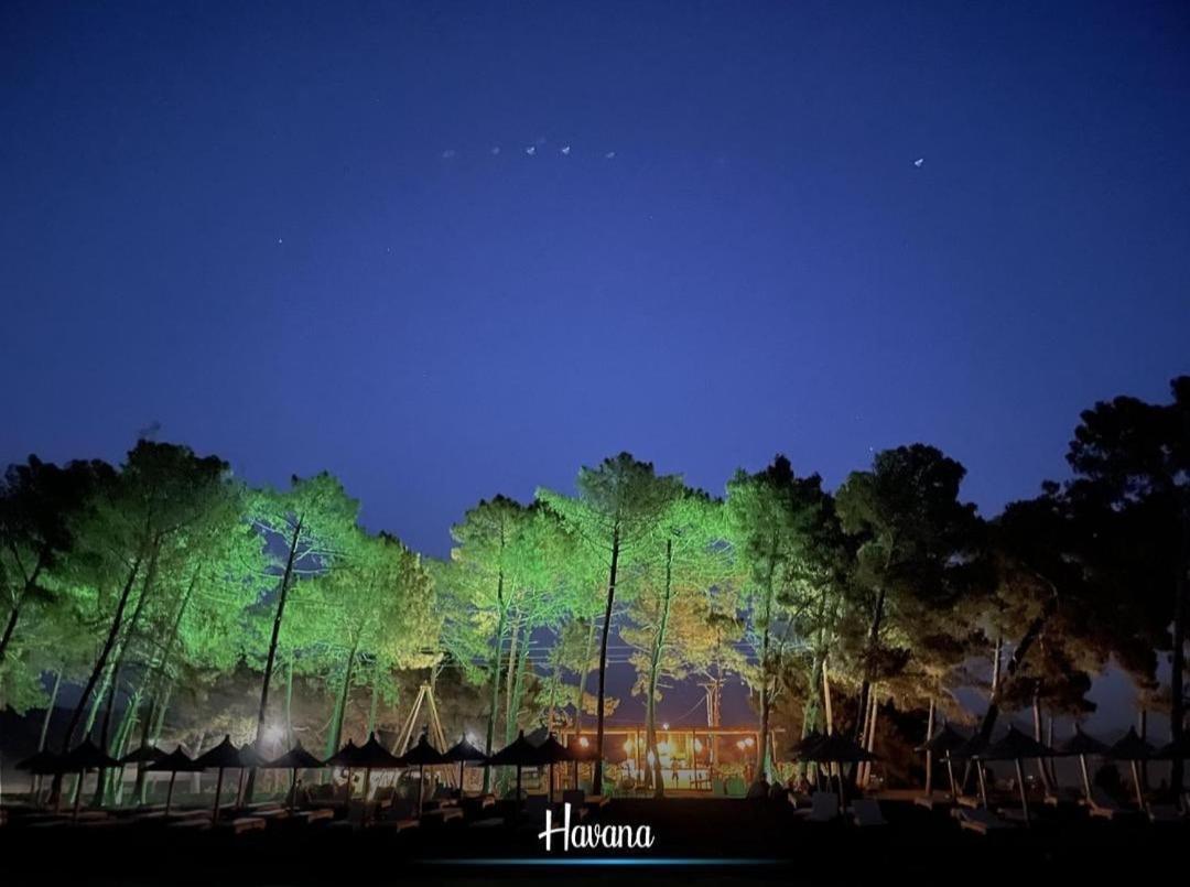 House Havana *